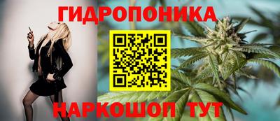 индика Берёзовский