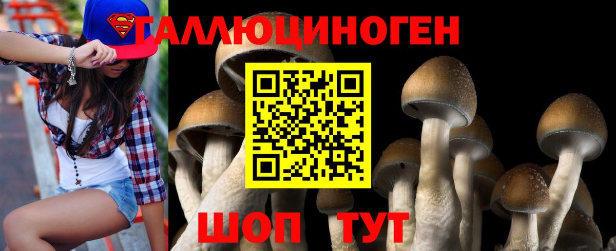 Галлюциногенные грибы MAGIC MUSHROOMS  Галлюциногенные грибы ЛСД  Ишим  Вход с VPN 